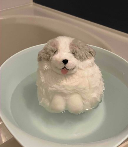 はわわ〜