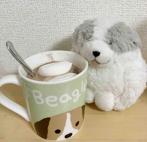 ホットココアを　のんだよー！