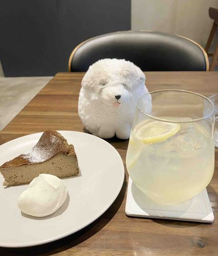 おしゃれな　かふぇに　いったときの　しゃしんー！