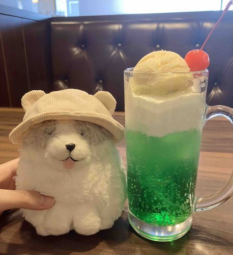 きょうは　ごしゅじんと　きっさてんに　いってきたんだよー！