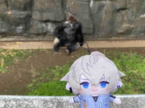 しゃちょ と おなじ ぐらい つよそう！