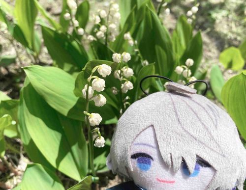おにわ の すずらんが さいて た よ🌼