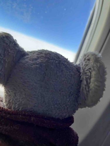 かぞくをおいて、ままたんといっしょに、ままたんのおうちへ✈️
ひこうき、まどきわ、ひさしぶり！