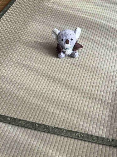とてーもひろいへやー！！ままたんがとおいよー˙ᵕ˙ )ﾉﾞ