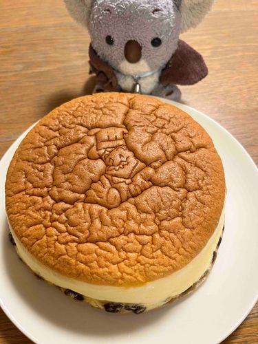 おおさかのおじさんだー！しわしわー