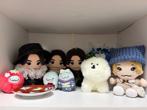 さいきんおいらたちのおへやつくってもらったんやぁ☺️