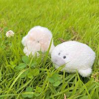 まろとぽぽ