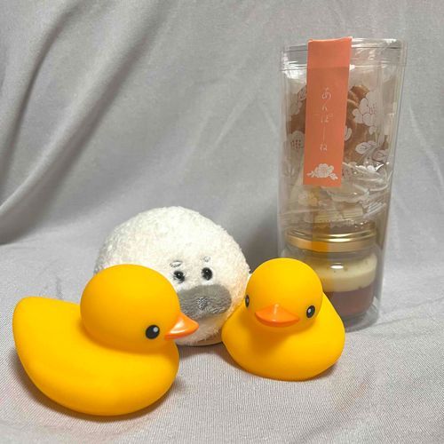 🐥🦭🐥