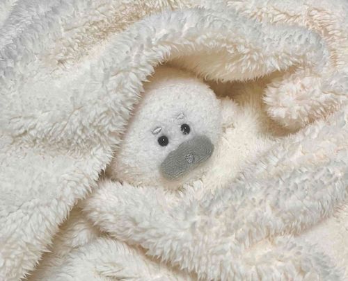 ふわもこ