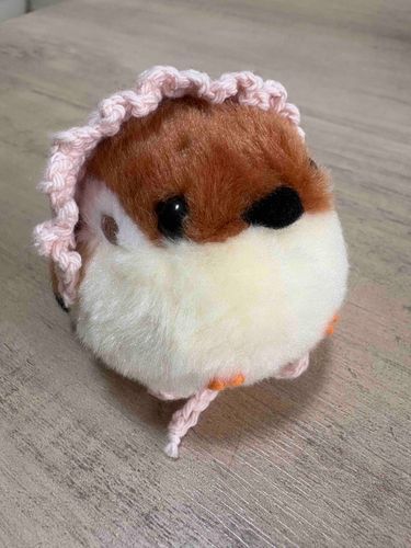ちゅんたん、ピンクが似合ってる🩷
