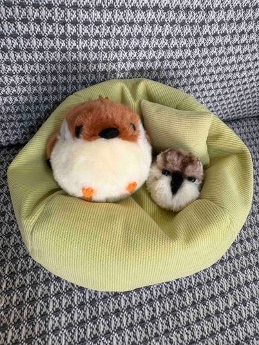 ちゅんたん！
minneからお友達をお迎えしたで😆
Amazonでソファーも買ったでー🛋️