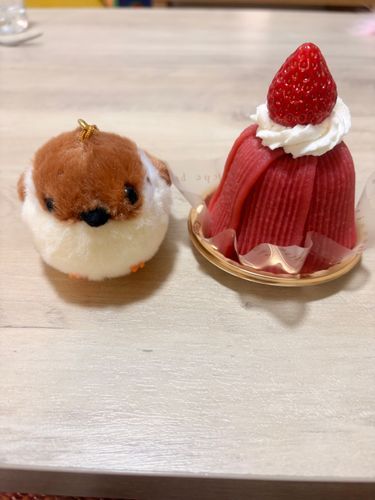 苺モンブラン🍓
ちゅんたんより背は高いけど丸っこさはちゅんたんの勝ちやな😊