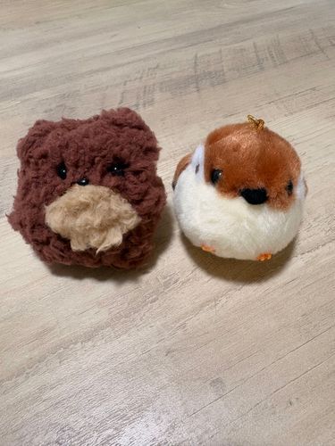 どんちゃんです♪
クマさんじゃないねん🐻
森の妖精なんやで🧚🏿
ちゅんたんとすぐに仲良しこよし🍒