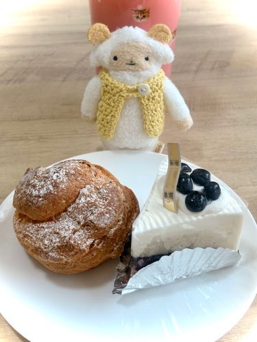 ブルーベリーレアチーズケーキとシュークリーム❤️