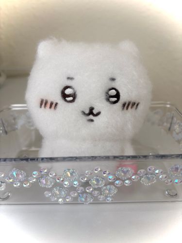 ちいちゃんがやって来た🩷
