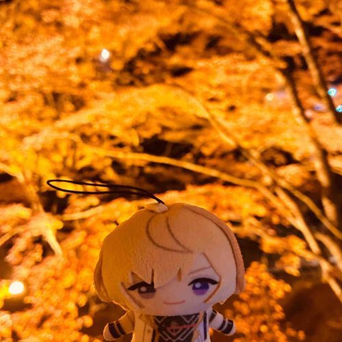 紅葉狩り🍁 を してきた！
