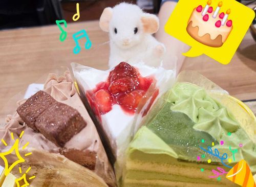 ぜんぶカチュテラの