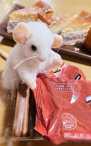 カチュテラのべにいもパイとチョコ