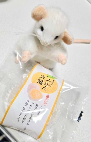 カチュテラは3つたべた