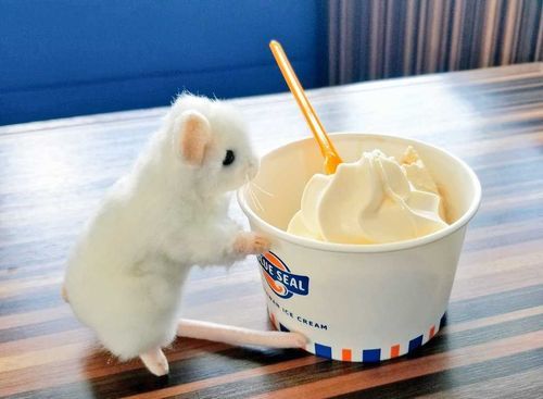 カチュテラのアイス
