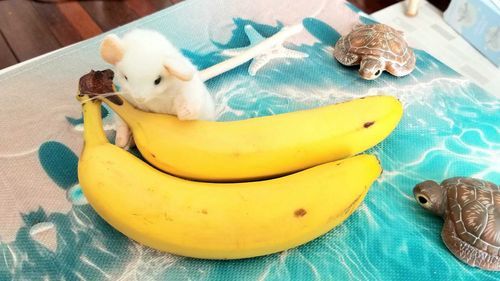 ぜんぶたべる