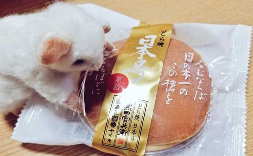 カチュテラもにほんいちたべる!!!!
