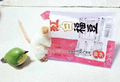 なんでないの？