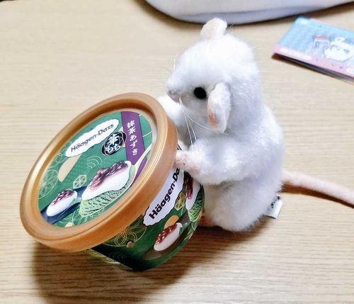 もってかえるね