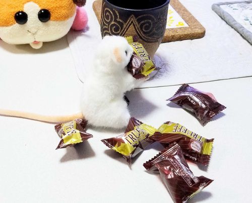 ぜんぶカチュテラのにしなきゃ