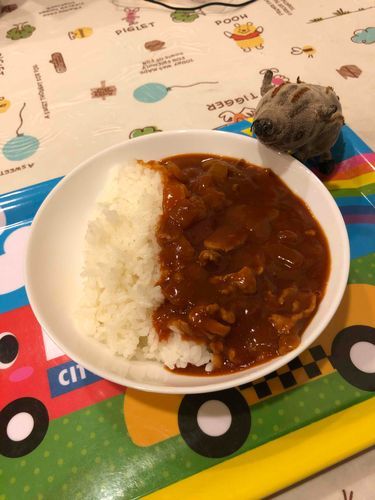 ハヤシライス食べるよ〜🍛