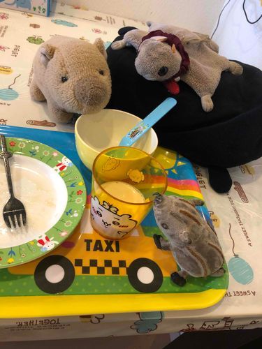 朝ごはん食べたよー美味しかったよー🐗🐗🐭🐭