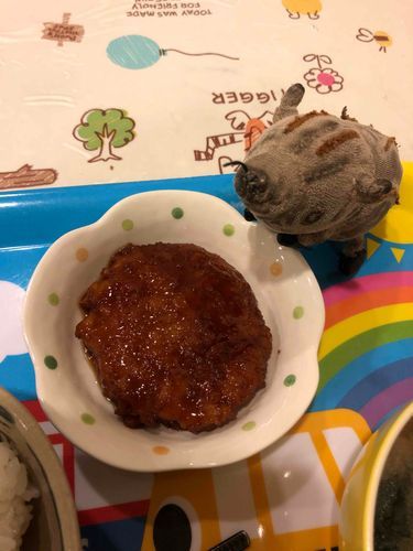 今日の夜ご飯は、ソースカツいただきまーす🐗🐗🐭🐭