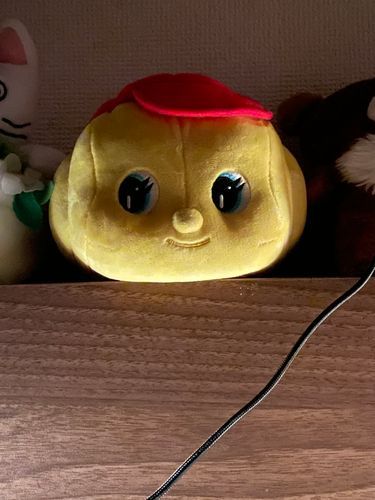 こわがらせて　ごめんなさい