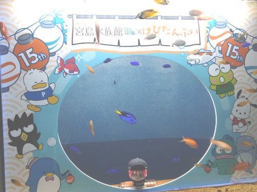 宮島水族館にお出かけしてきた！
ペンギンお触り体験したかった…