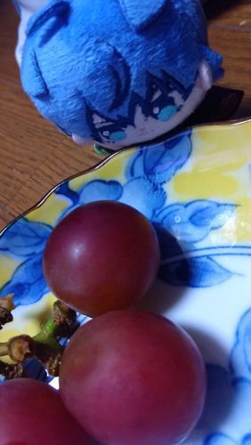 ぶどうをもらったよ
おおきいけどおれはたべるよ！