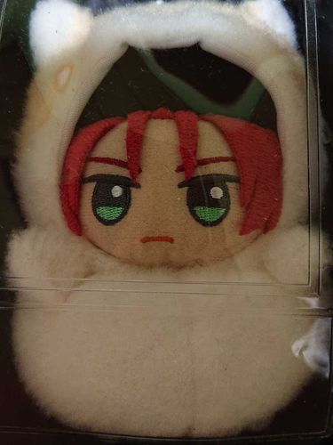 ライブに行くからと新しい服を着せて貰った…！
似合っているだろうか…
