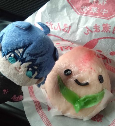 ももまんおいしかったよ
またちゅうかがいにいったらたべたいな！