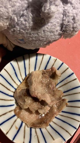 にんげんめ……まいどテーブルに出しておいて一口もわたちに食べさせないとはごんごどうだん…わたちだって肉は食べるぞ੯◕꒳._◕︶꒱‪💢