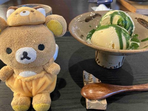 はじめまして！りょくちゃ家のくまです🐻
飼い主？のりょくちゃとお出かけしたりお家にいたり🏠
名前長いからくまって呼んでください（笑）