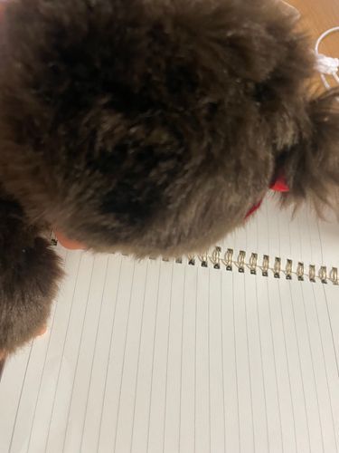 お勉強してます