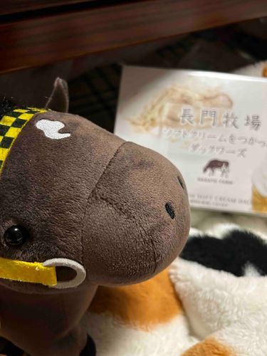 ねえねえ！はやくあけて！