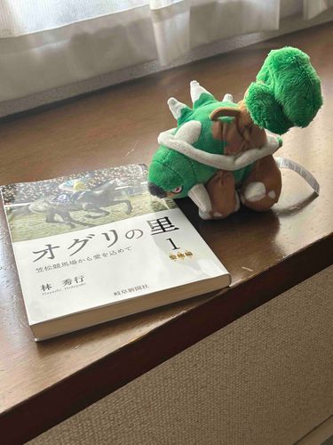 こうごうせい、すき……これなに？