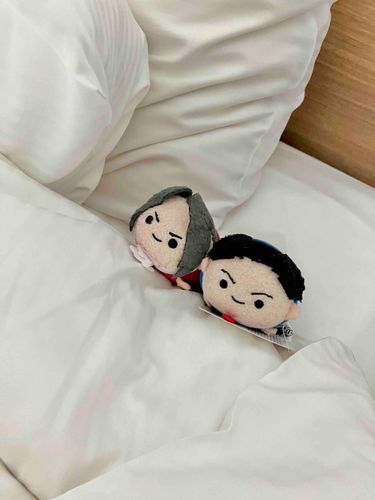 おはよう。家主はおーるでしごとにいくそうだ。
なるほどうもはやくおきたまえ