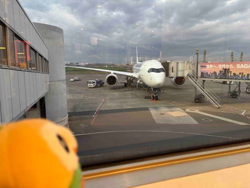もふぅ〜？
(そらをとぶ？)