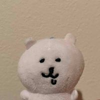 🐻‍❄️