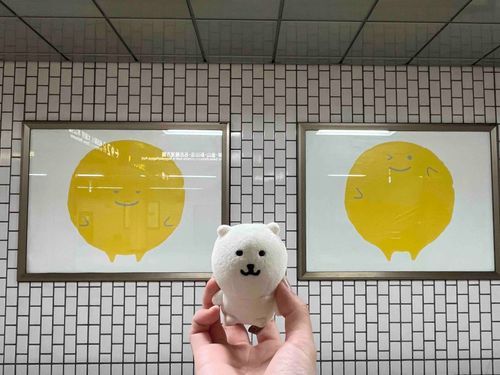 名古屋の駅で見つけた丸くてかわいい子🌕
くまの顔が心なしかｽﾞﾓﾓ…(圧)としている