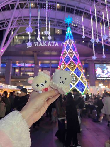 博多駅のイルミネーション 毎年綺麗₍ᐢ‥ᐢ₎ ♡