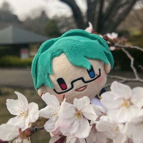 aknkのぬいちゃんです。甘いものや自然が大好きでよくお花見します。