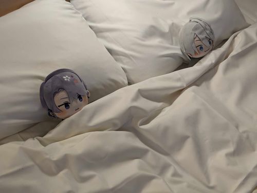 主は床で寝るね