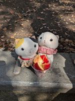 ヨッシー꒰ঌ🐱໒꒱